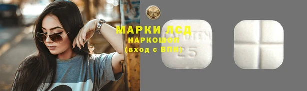 амф Богородицк
