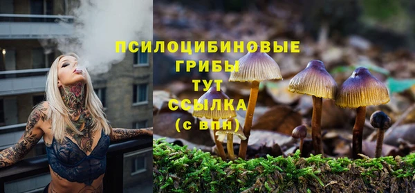 таблы Богородск