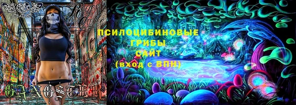 амф Богородицк