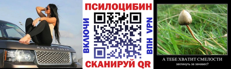 Галлюциногенные грибы Psilocybine cubensis  Дальнереченск 