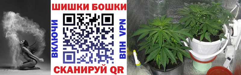купить наркоту  blacksprut зеркало  Марихуана индика  Дальнереченск 